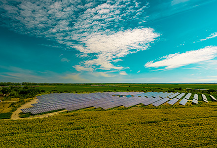 Photovoltaic power plant in Odzaci, where Oktopaz renders construction supervision - thumbnail
